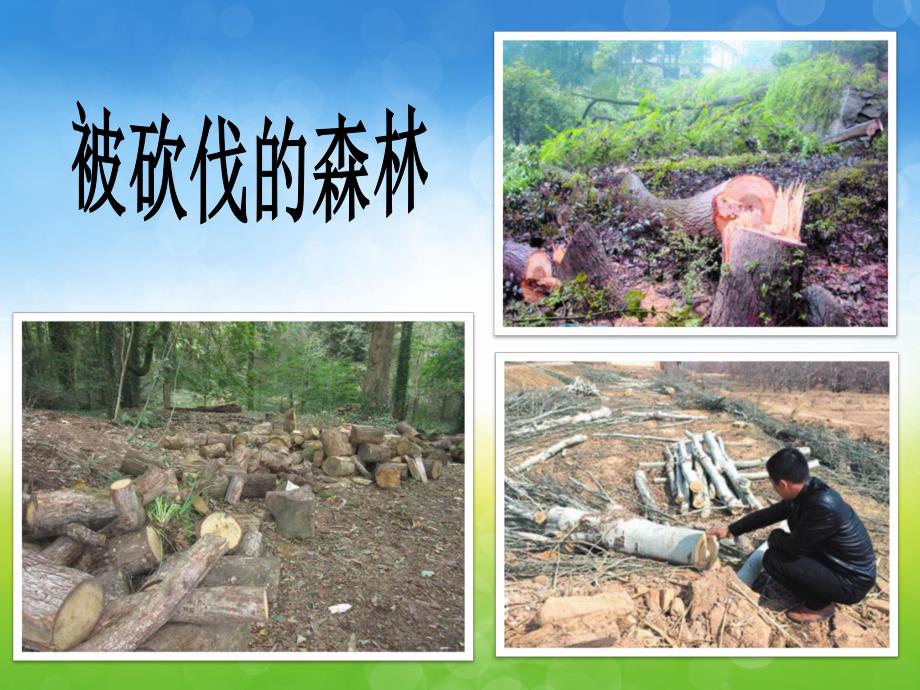 幼儿园植树节主题方案PPT课件幼儿园植树节主题方案PPT课件.ppt_第3页