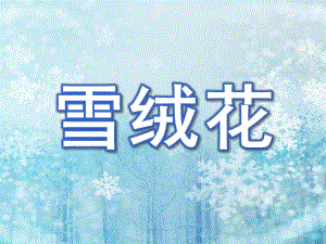 幼儿园音乐《雪绒花》PPT课件教案雪绒花音乐课.ppt