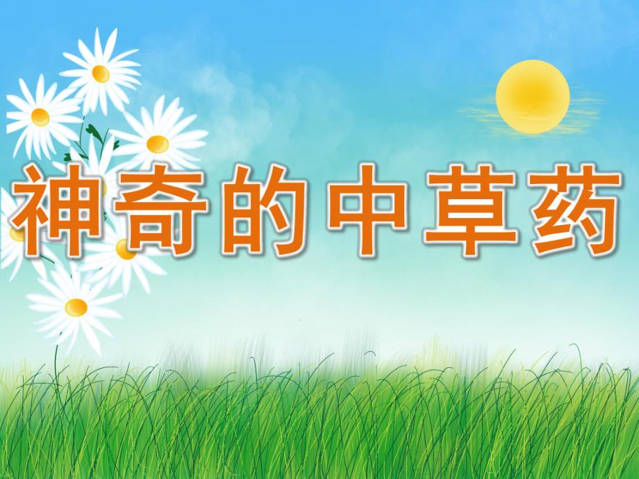 大班科学《神奇的中草药》PPT课件教案PPT课件.ppt_第1页