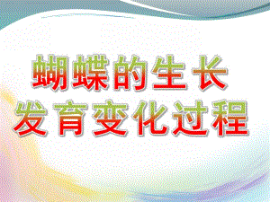 幼儿园《蝴蝶的生长发育变化过程》PPT课件蝴蝶的生长发育变化过程.ppt