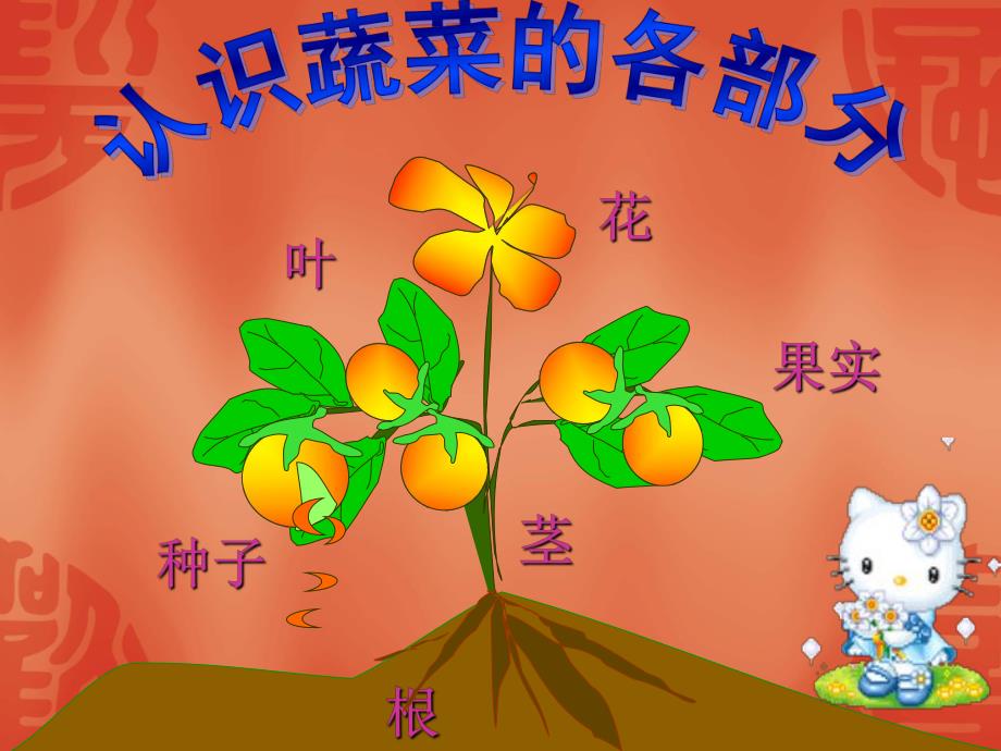 大班健康《多种多样的蔬菜》PPT课件常识课件PPT:多种多样的蔬菜..ppt_第2页