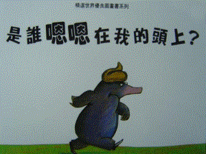 版本2ppt课件.ppt