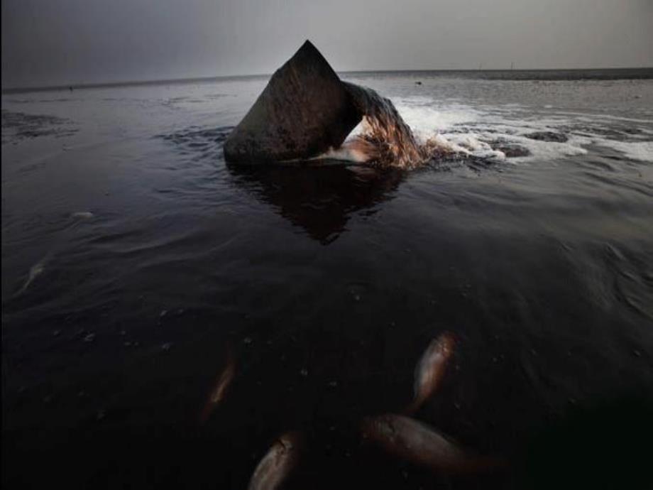 大班科学活动《鱼宝宝生病了》PPT课件教案PPT课件.ppt_第2页