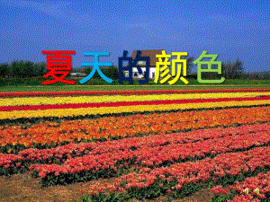 大班诗歌《夏天的颜色》PPT课件教案配音音乐ppt课件.ppt