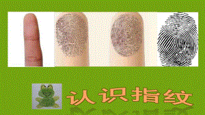 大班《有趣的指纹》PPT课件教案大班《有趣的指纹》.ppt