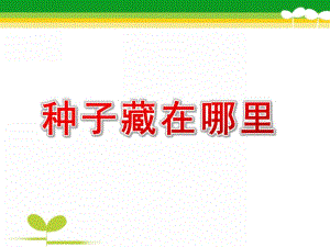 大班科学《种子藏在哪里》PPT课件教案种子藏在哪里.ppt