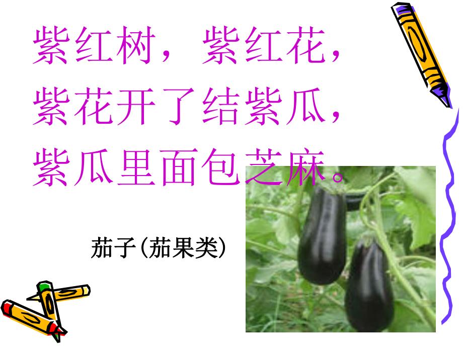 幼儿园《走进蔬菜王国》PPT课件教案走进蔬菜王国.ppt_第3页