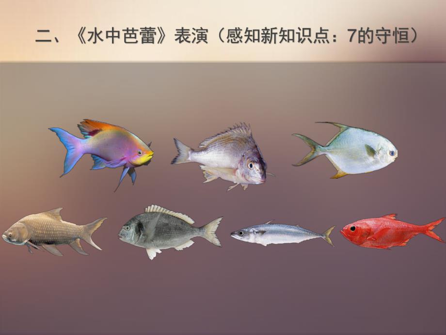 中班数学《数量守恒(10以内)》PPT课件教案数量守恒(10以内).ppt_第3页