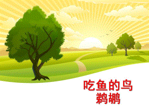 大班科学《吃鱼的鸟》PPT课件吃鱼的鸟.ppt
