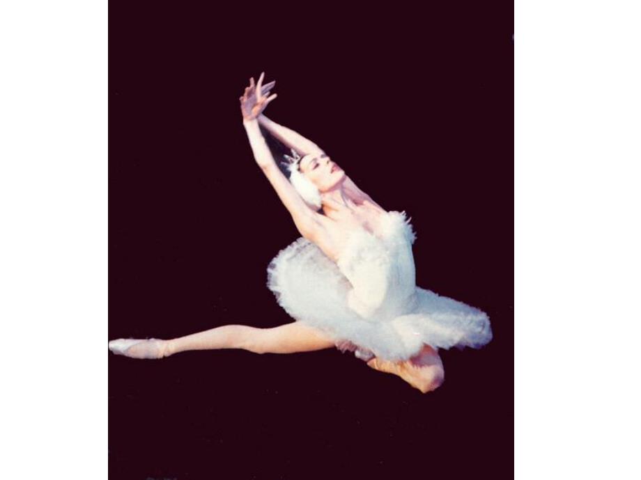 幼儿园音乐《四小天鹅》PPT课件教案天鹅.ppt_第3页