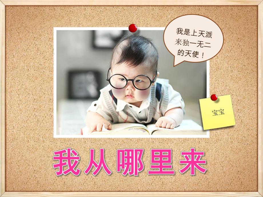 幼儿园《我从哪里来》PPT课件教案宝宝是从哪里来的？.ppt_第1页