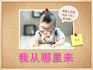 幼儿园《我从哪里来》PPT课件教案宝宝是从哪里来的？.ppt