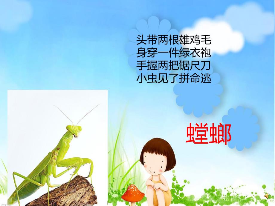 幼儿园动物儿歌《螳螂》PPT课件配音音乐PPT课件.ppt_第2页