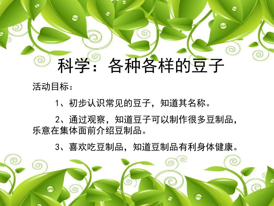 幼儿园科学《各种各样的豆子》PPT课件教案各种各样的豆子.ppt_第2页