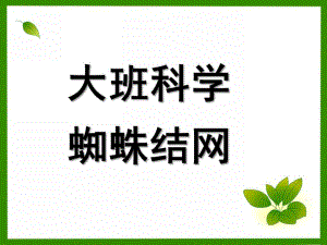 大班科学《蜘蛛结网》PPT课件大班科学：蜘蛛结网.ppt
