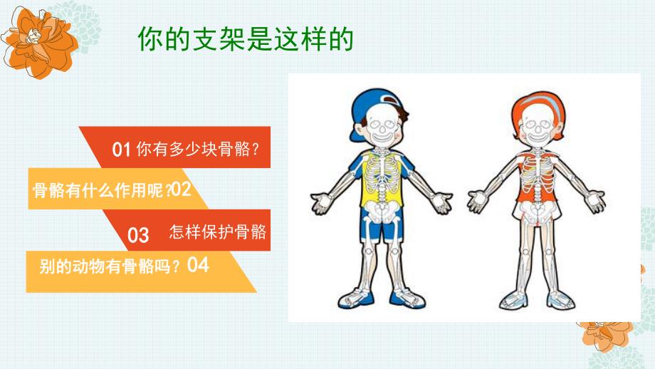 大班健康公开课《身体的支架》PPT课件教案身体的支架.ppt_第2页