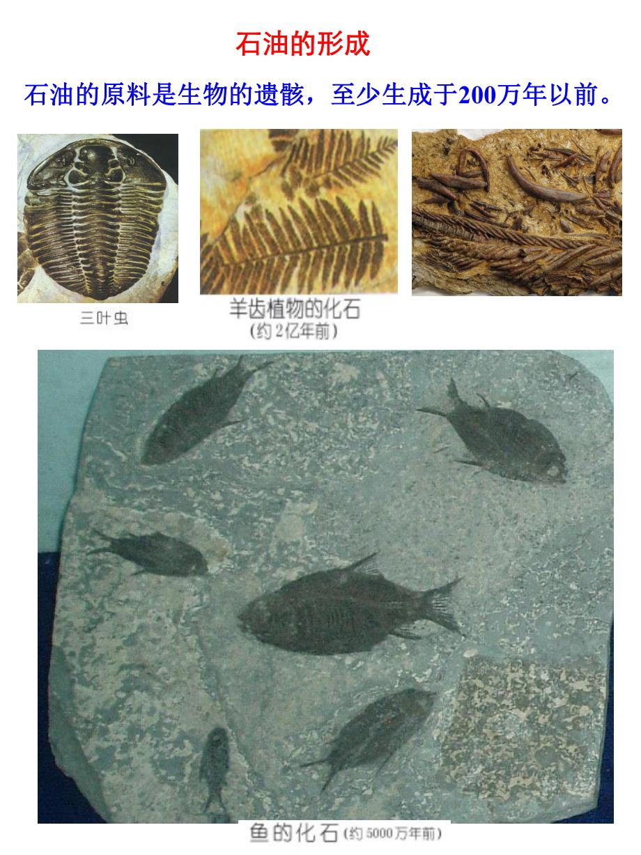 幼儿园《石油怎么来的》PPT课件幼儿园《石油怎么来的》PPT课件.ppt_第3页