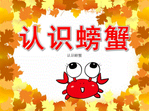 大班科学《认识螃蟹》PPT课件教案PPT课件.ppt
