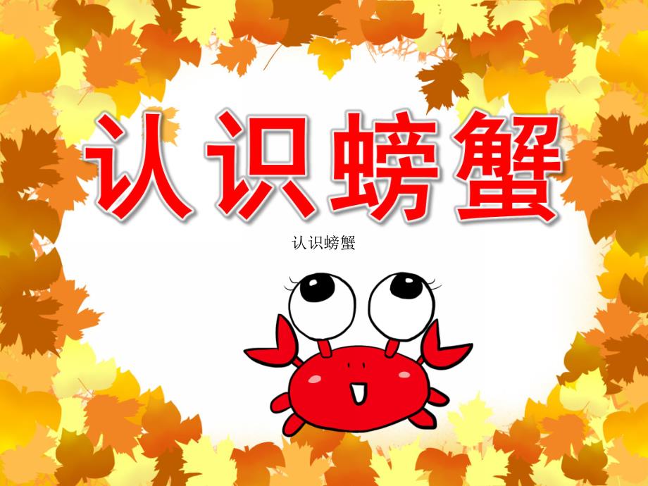 大班科学《认识螃蟹》PPT课件教案PPT课件.ppt_第1页