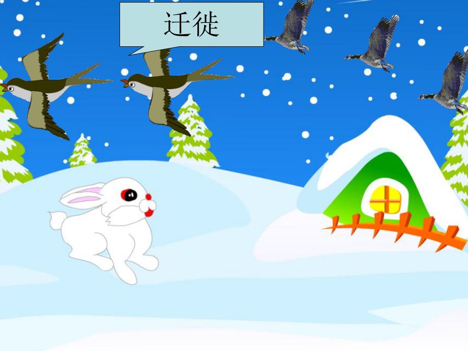 大班科学公开课《冬天里的动物》PPT课件教案.ppt_第2页