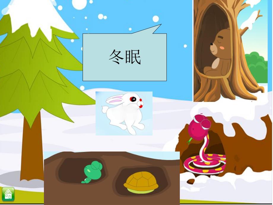 大班科学公开课《冬天里的动物》PPT课件教案.ppt_第3页