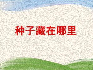 大班科学《种子藏在哪里》PPT课件教案PPT课件.ppt