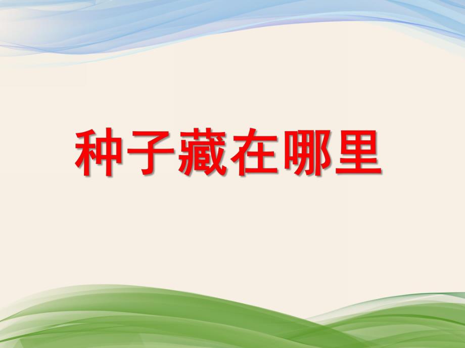 大班科学《种子藏在哪里》PPT课件教案PPT课件.ppt_第1页