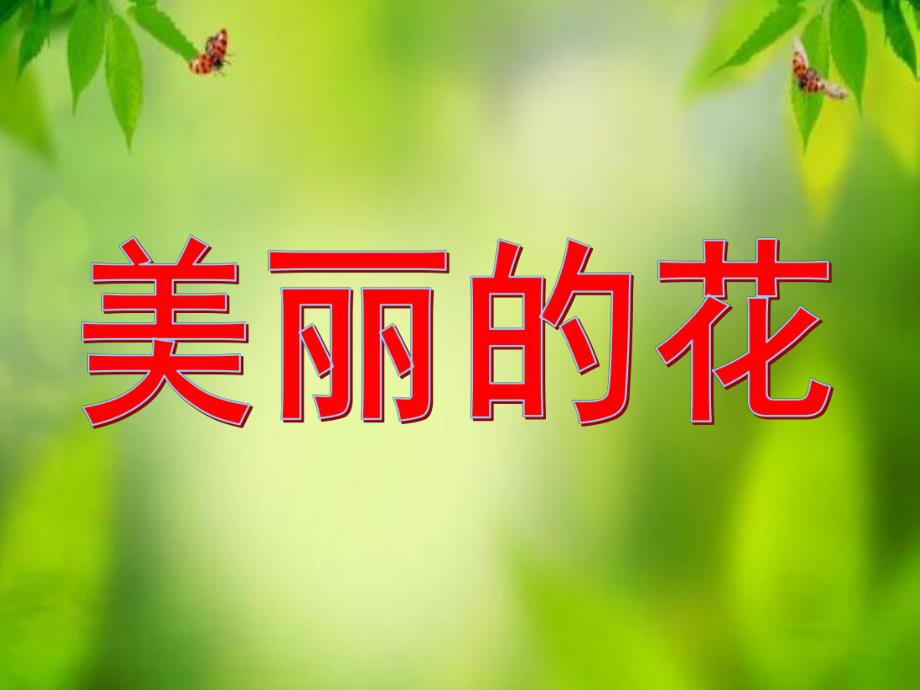 大班科学《美丽的花》PPT课件教案大班科学-美丽的花.ppt_第1页