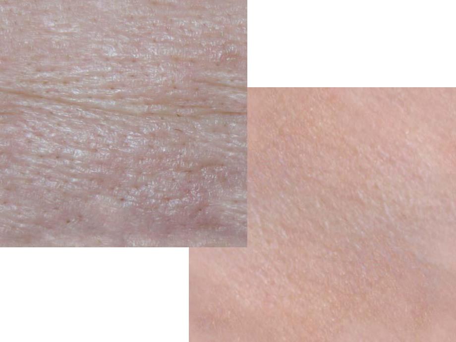 大班科学《奇妙的外衣——皮肤》PPT课件教案奇妙的外衣——皮肤.ppt_第2页