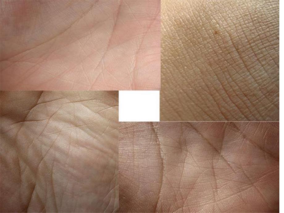 大班科学《奇妙的外衣——皮肤》PPT课件教案奇妙的外衣——皮肤.ppt_第3页