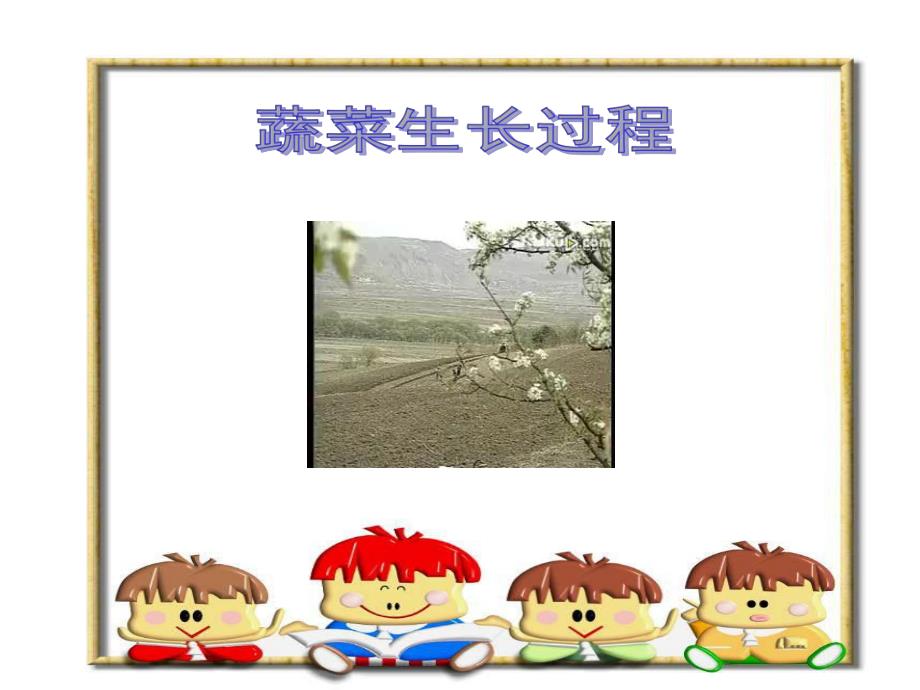 认识蔬菜PPT课件教案认识蔬菜ppt课件.ppt_第3页