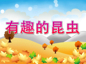中班科学《有趣的昆虫》PPT课件教案PPT课件.ppt