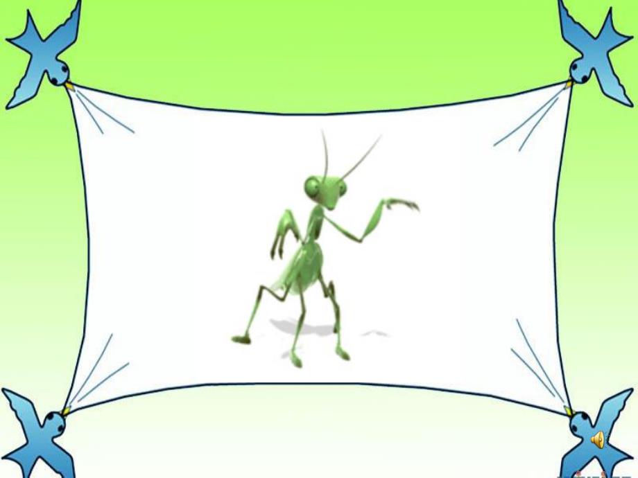 中班科学《有趣的昆虫》PPT课件教案PPT课件.ppt_第3页