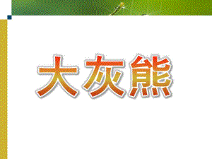 小班音乐《大灰熊》PPT课件教案音乐大灰熊.ppt