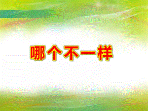 小班数学计算《哪个不一样》PPT课件教案PPT课件.ppt
