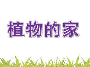 大班科学《植物的家》PPT课件教案160323-幼儿园讲课PPT-植物.ppt