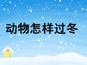 大班科学活动课《动物怎样过冬》PPT课件教案.ppt