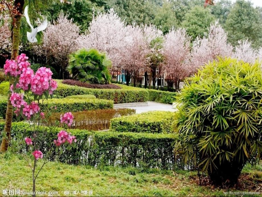 小班社会《谁对谁不对》PPT课件小班社会《谁对谁不对》PPT课件.ppt_第3页