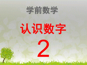 学前数学《认识数字2》PPT课件教案认识数字.ppt
