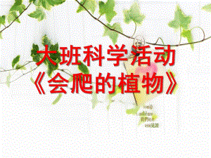 大班科学《会爬的植物》PPT课件会爬的植物.ppt