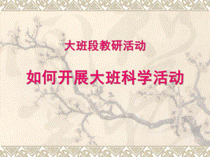 如何开展大班科学活动PPT如何开展大班科学活动PPT.ppt