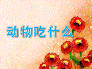 小班科学《动物吃什么》PPT课件教案《动物吃什么》课件.ppt