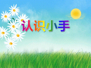 小班健康教育《识认小手》PPT课件小班健康教育《识认小手》PPT课件.ppt