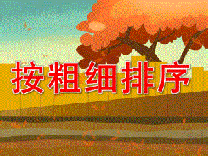 中班《按粗细排序》PPT课件教案PPT课件.ppt