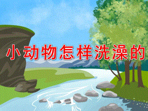 小动物怎样洗澡的PPT课件教案图片小班科学《小动物洗澡》PPT课件.ppt