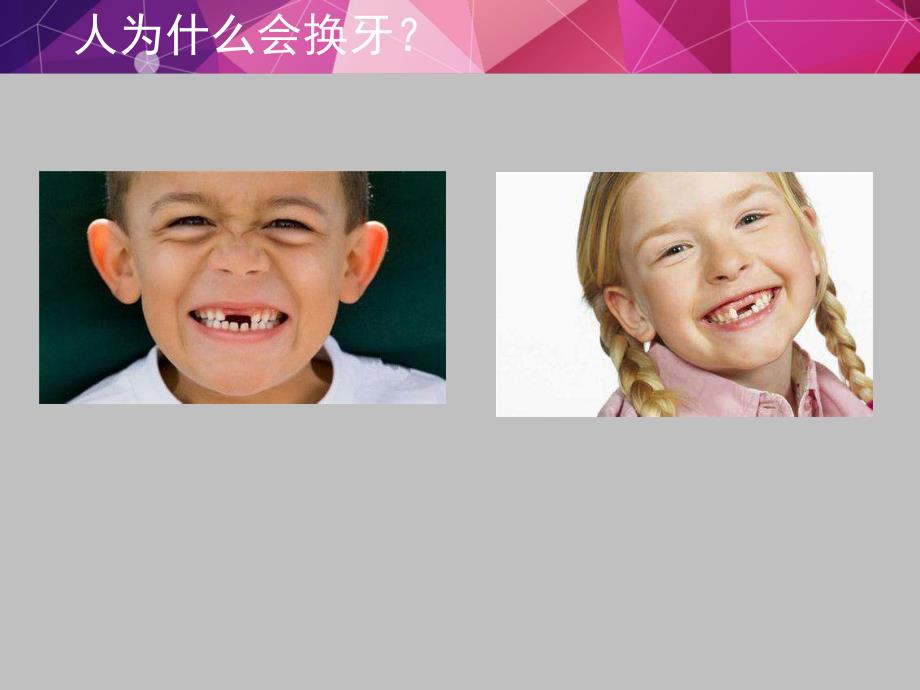 大班健康《我的牙齿掉了》PPT课件教案大班健康课件《我的牙齿掉了》PPT课件.ppt_第2页