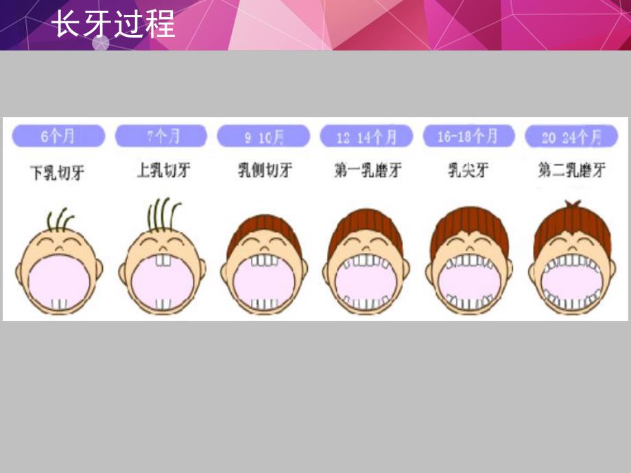 大班健康《我的牙齿掉了》PPT课件教案大班健康课件《我的牙齿掉了》PPT课件.ppt_第3页