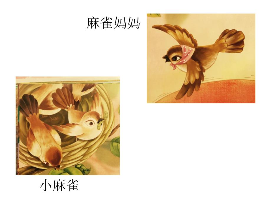 大班语言《等太阳》PPT课件教案大班语言《等太阳》.ppt_第2页