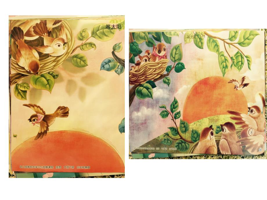 大班语言《等太阳》PPT课件教案大班语言《等太阳》.ppt_第3页