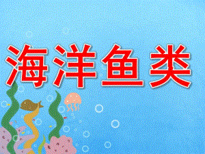 小班科学《海洋鱼类》PPT课件PPT课件.ppt